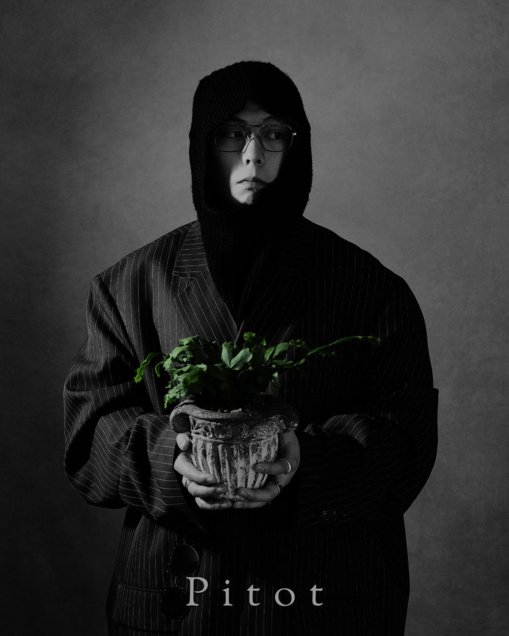 Pitot取り扱い開始のお知らせ